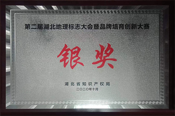 銀獎(jiǎng)